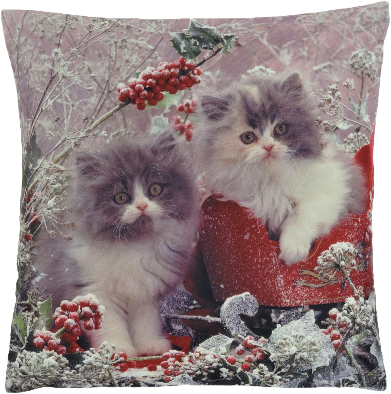 Kissenbezug Winter 40x40 Katzen im Schnee Dekokissen Kissenhülle Sofakissen Kissen Bedruckt Eckig Weich Reißverschluss